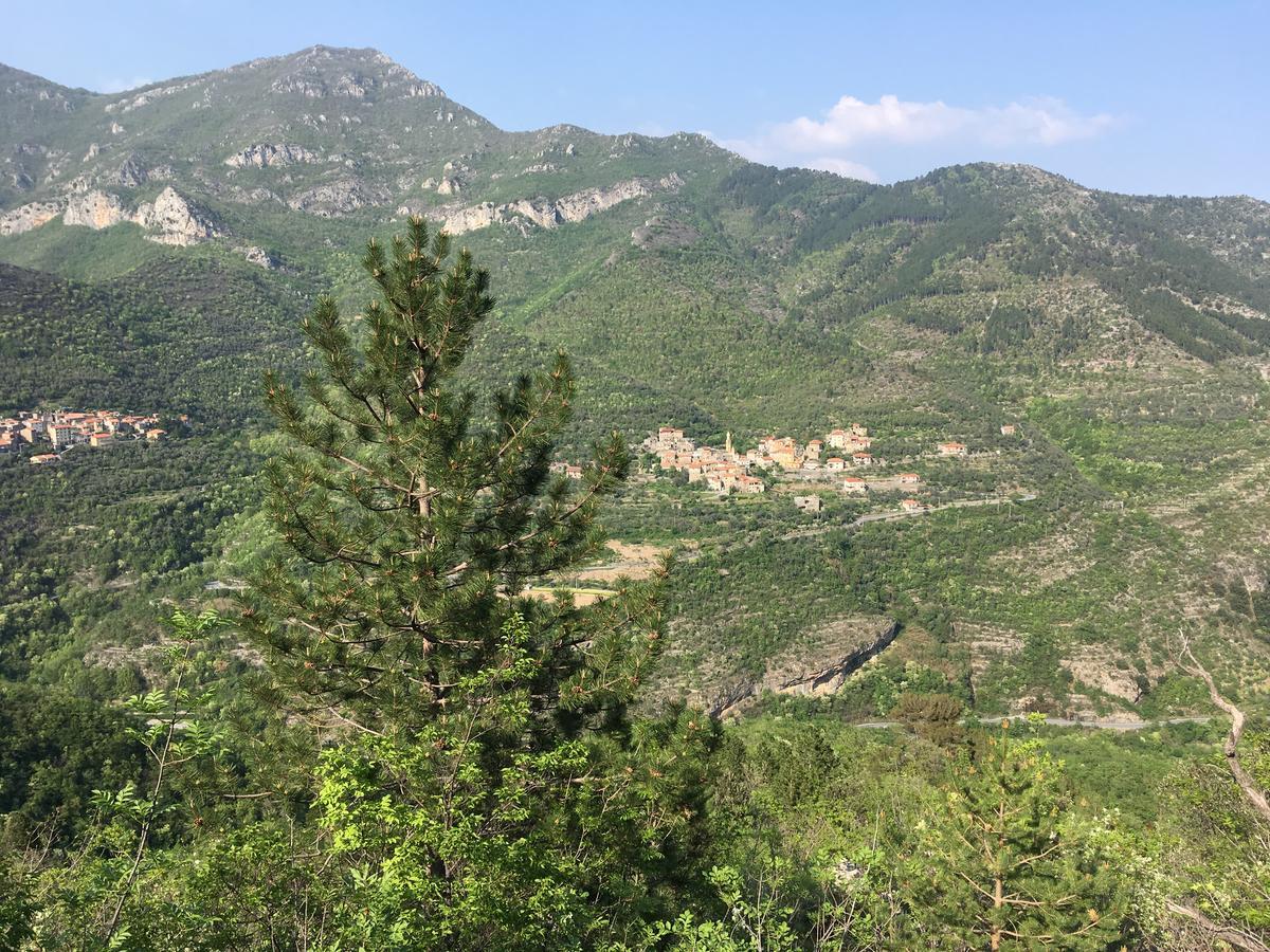 לינה וארוחת בוקר Colletta La Casa Dei Nonni Castelbianco מראה חיצוני תמונה